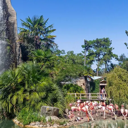 Apartment 1 Bedroom Awesome In *